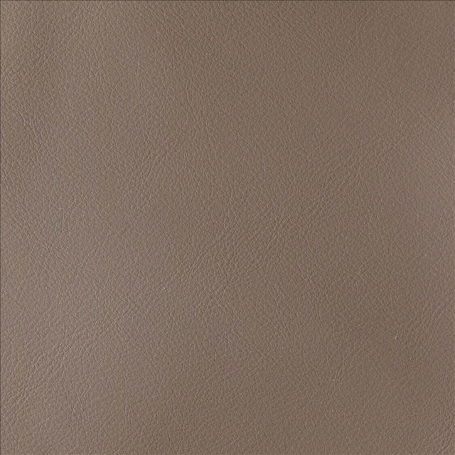 Kasmir By Design Latte Fabric