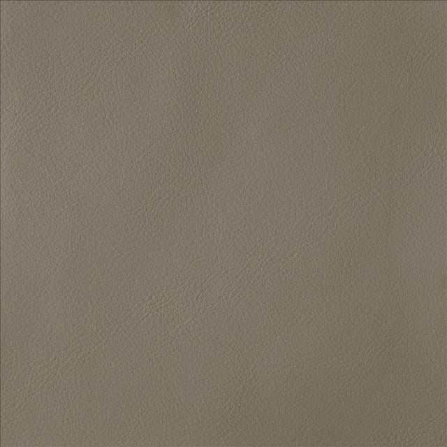 Kasmir By Design Mushroom Fabric