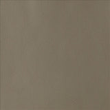 Kasmir By Design Taupe Fabric