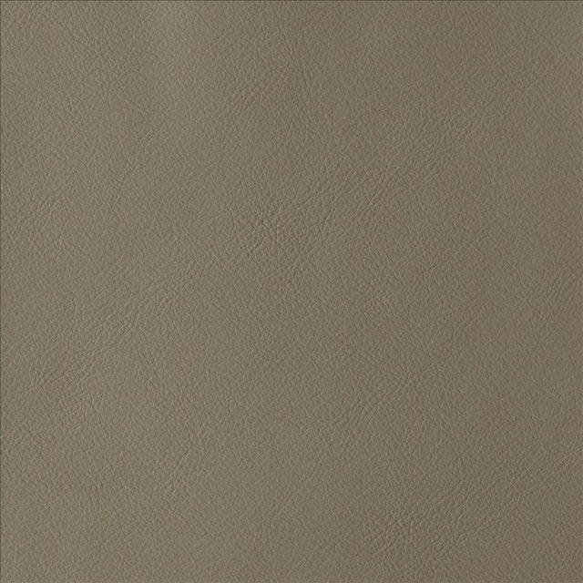 Kasmir By Design Taupe Fabric