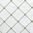 Kasmir Lacon Elm Fabric