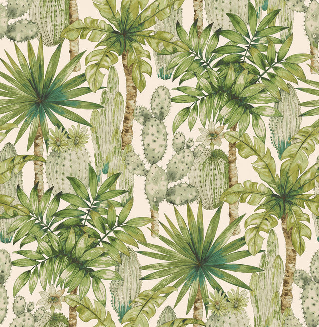 Tommy Bahama Cactus Emporium Azure Wallpaper