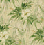 Tommy Bahama Coastal Garden Jungle Wallpaper