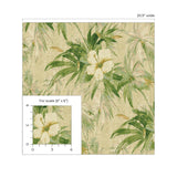 Tommy Bahama Coastal Garden Jungle Wallpaper