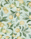 Tommy Bahama Honey Bell Lemon Wallpaper