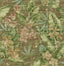 Tommy Bahama Paradise Point Rattan Wallpaper