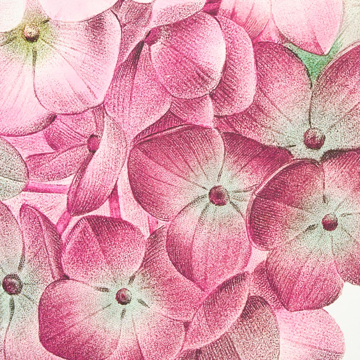 Schumacher Flores Paradisi 4 Panel Set Rose & Peony Wallpaper