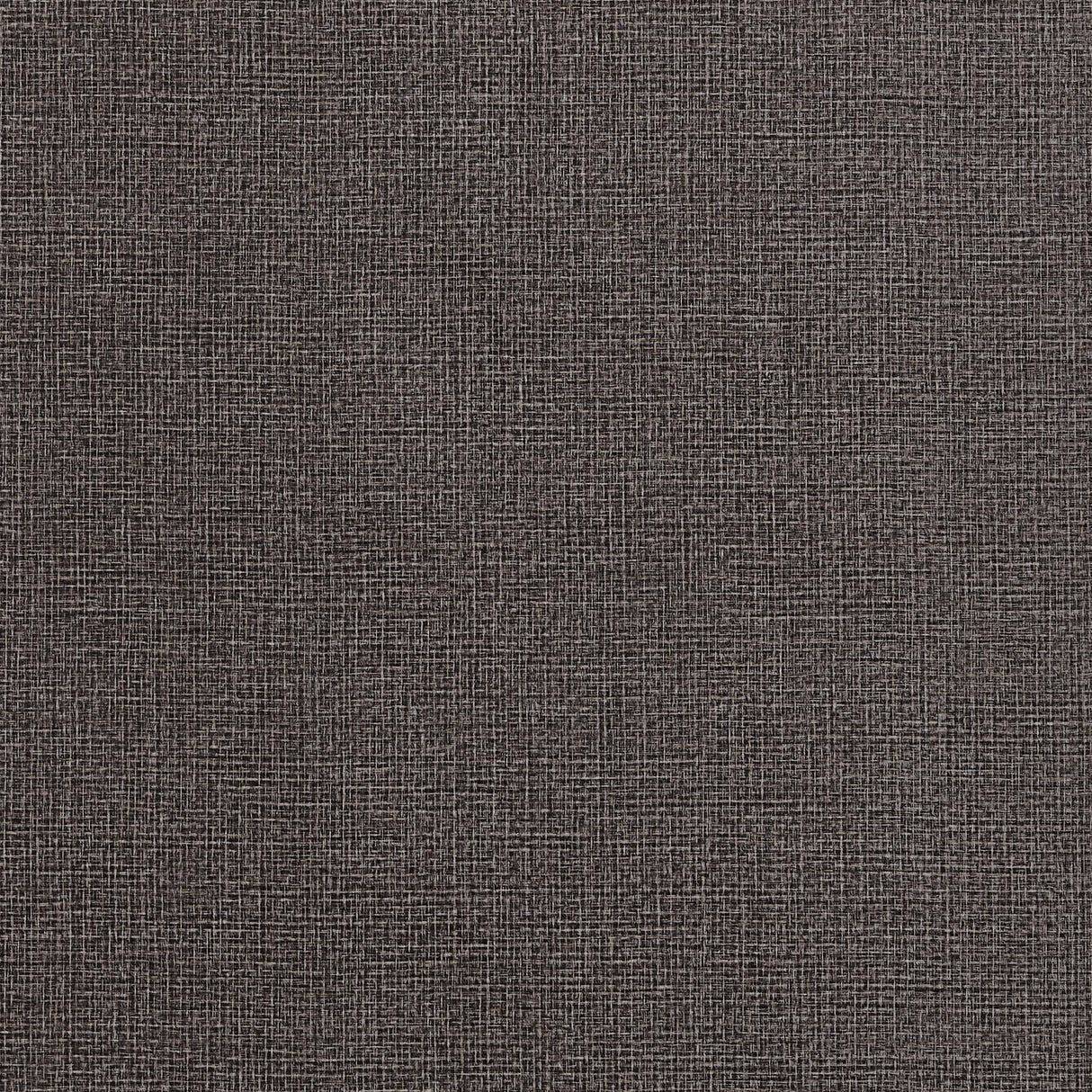 Thibaut Copenhagen Black Wallpaper