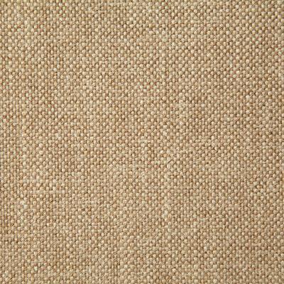 Pindler MANN RAFFIA Fabric