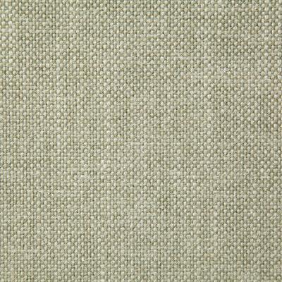 Pindler MANN ALOE Fabric