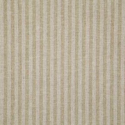 Pindler MARSDEN ALOE Fabric