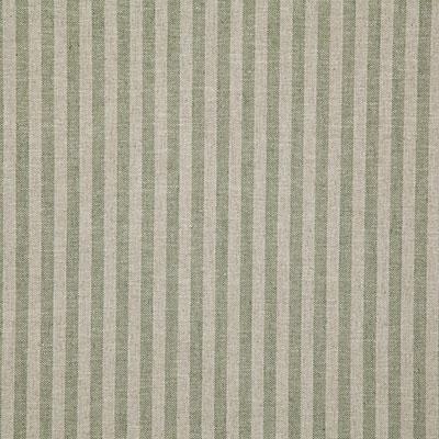 Pindler MARSDEN FERN Fabric