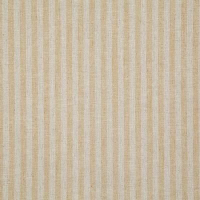 Pindler MARSDEN SOLEIL Fabric