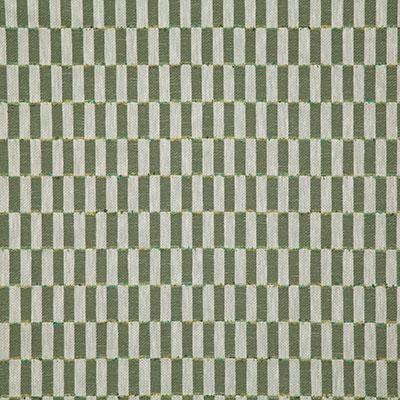 Pindler MARVIN FERN Fabric