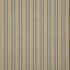 Pindler MAYER NOIR Fabric