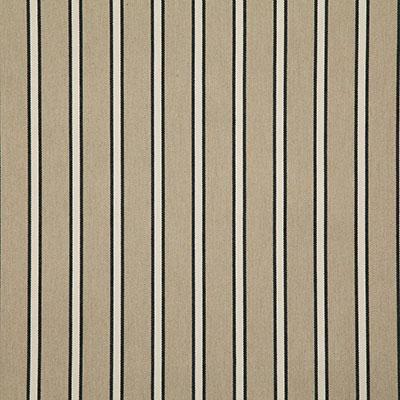 Pindler MAYER NOIR Fabric