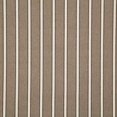 Pindler MAYER MINK Fabric