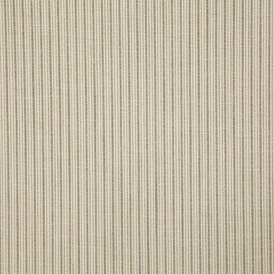 Pindler MERRILL FERN Fabric