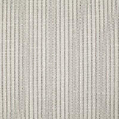 Pindler MERRILL ASH Fabric
