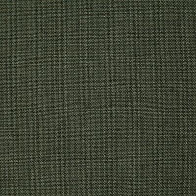 Pindler MILLWARD FOREST Fabric