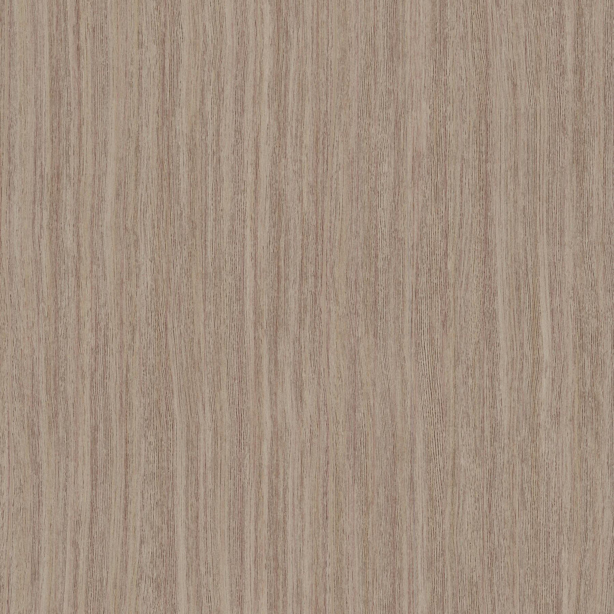 York Wallcoverings Wistman Stripe Canyon Wallpaper