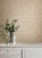 York Wallcoverings Weathered Stucco Wheat Wallpaper