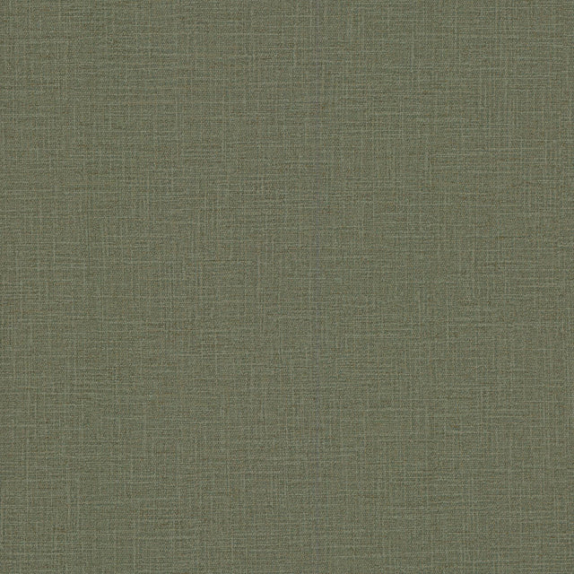 York Wallcoverings Loom Forest Wallpaper