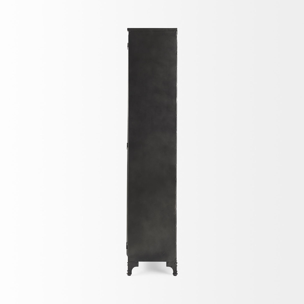 Mercana Poppy II 73.8" H Black Metal With Glass Door Display Cabinet