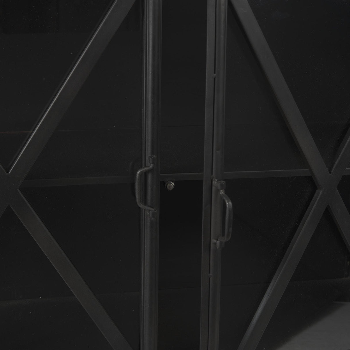 Mercana Poppy I 79x16 Black Metal With Glass Door Sideboard