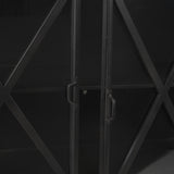 Mercana Poppy I 79x16 Black Metal With Glass Door Sideboard