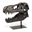 Mercana Lagrane 19L x 11W Brown Resin Tyrannosaurus T Rex Dinosaur Skull Replica