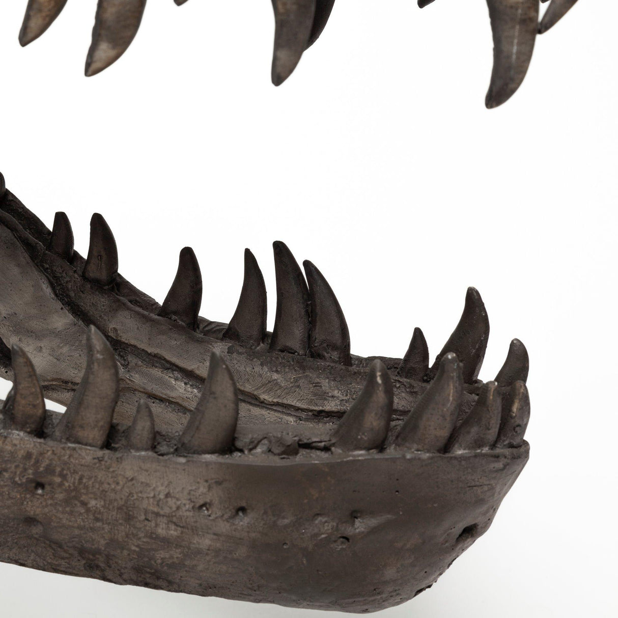 Mercana Lagrane 19L x 11W Brown Resin Tyrannosaurus T Rex Dinosaur Skull Replica