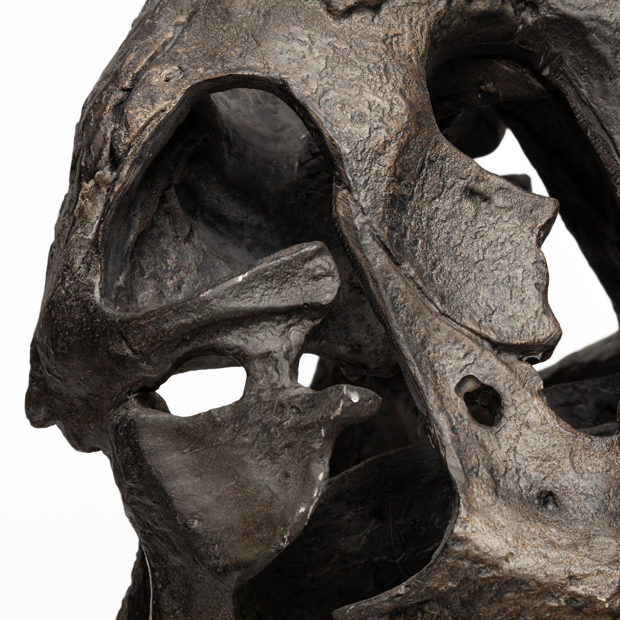 Mercana Lagrane 19L x 11W Brown Resin Tyrannosaurus T Rex Dinosaur Skull Replica