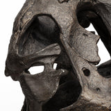 Mercana Lagrane 19L x 11W Brown Resin Tyrannosaurus T Rex Dinosaur Skull Replica
