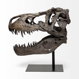 Mercana Lagrane 19L x 11W Brown Resin Tyrannosaurus T Rex Dinosaur Skull Replica