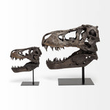 Mercana Lagrane 19L x 11W Brown Resin Tyrannosaurus T Rex Dinosaur Skull Replica