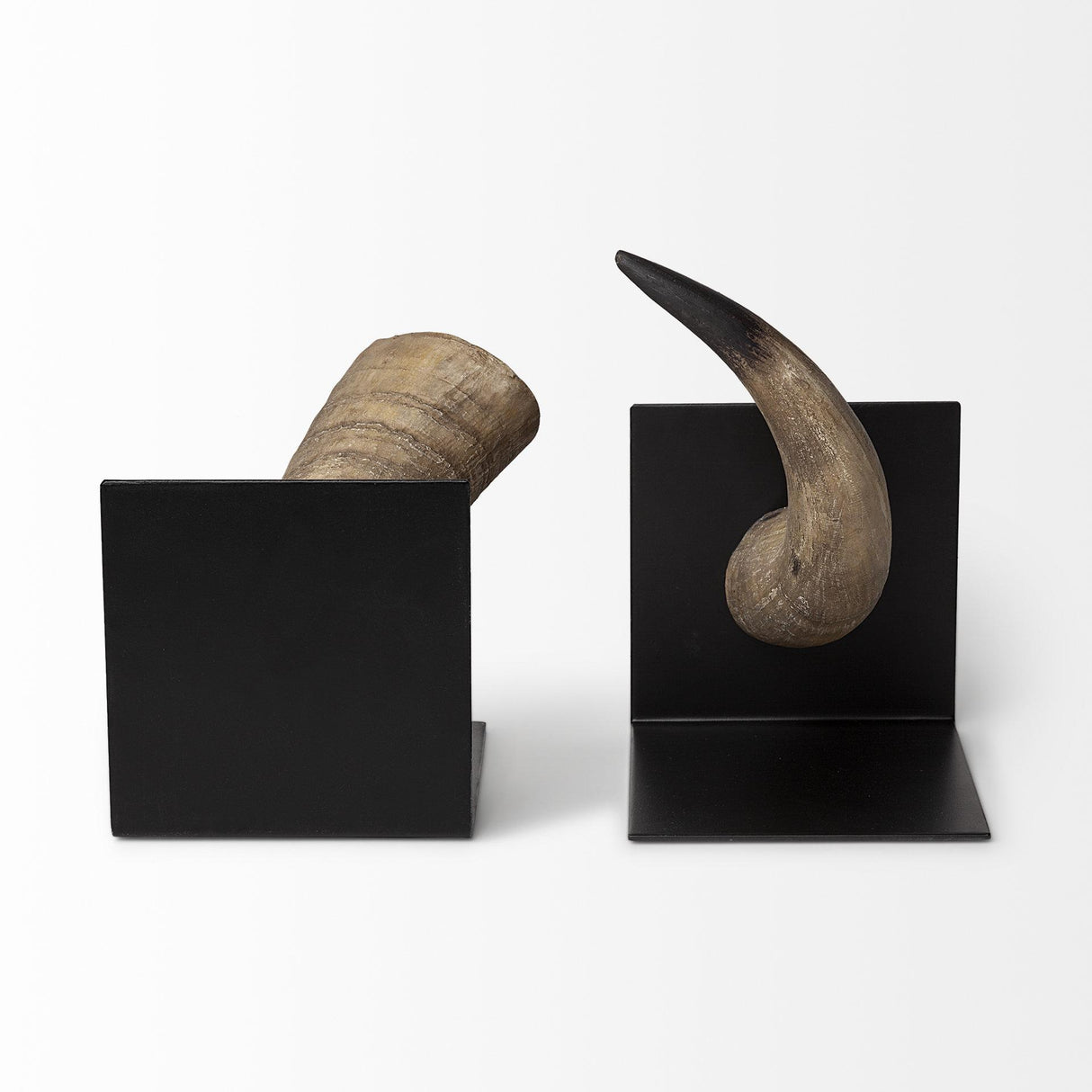 Mercana Nickerson (Set of 2) 6L x 7W Bull Horn Bookends