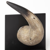 Mercana Nickerson (Set of 2) 6L x 7W Bull Horn Bookends