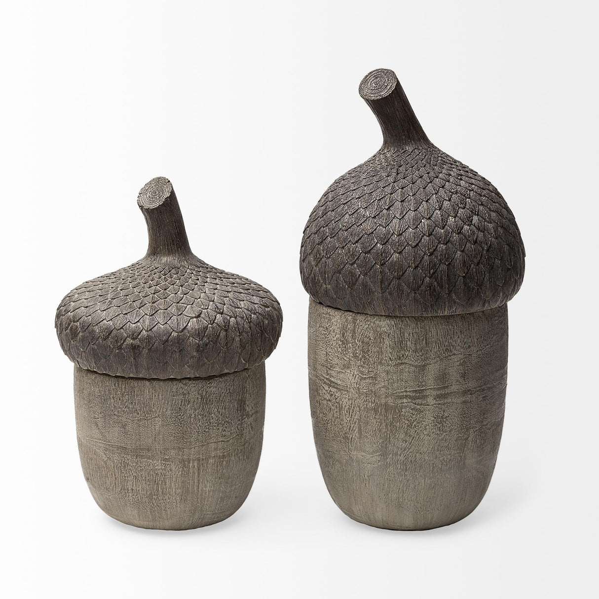 Mercana Mandor I (Small) 6L x 6W Brown Resin Acorn Box