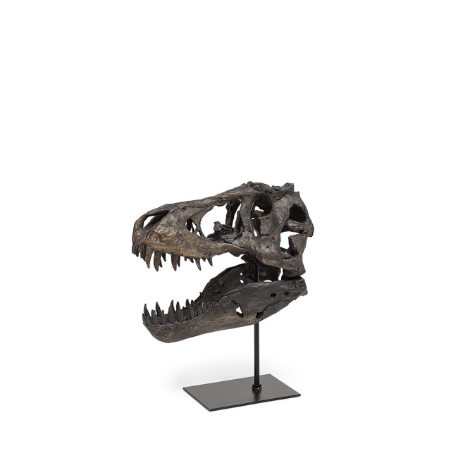 Mercana Jurassic 6L x 10W Brown Resin Tyrannosaurus Skull Replica