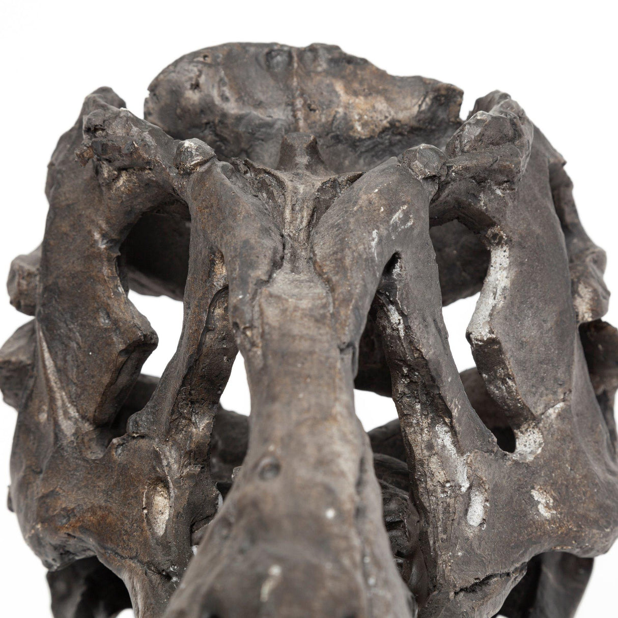 Mercana Jurassic 6L x 10W Brown Resin Tyrannosaurus Skull Replica