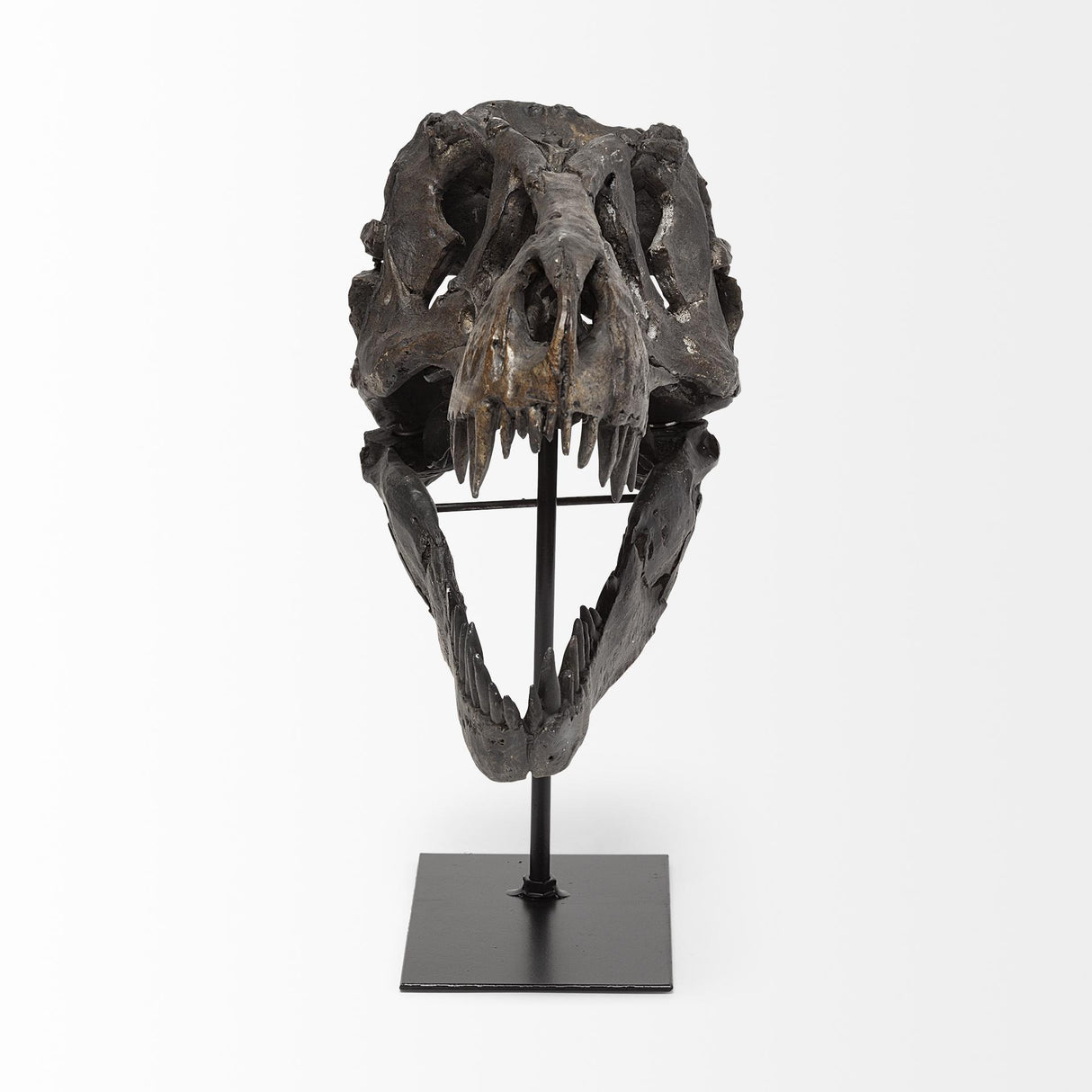 Mercana Jurassic 6L x 10W Brown Resin Tyrannosaurus Skull Replica