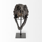 Mercana Jurassic 6L x 10W Brown Resin Tyrannosaurus Skull Replica