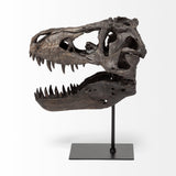 Mercana Jurassic 6L x 10W Brown Resin Tyrannosaurus Skull Replica