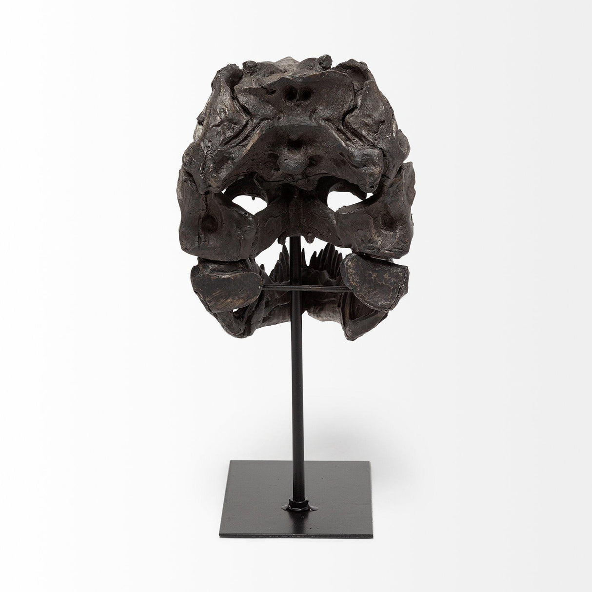 Mercana Jurassic 6L x 10W Brown Resin Tyrannosaurus Skull Replica