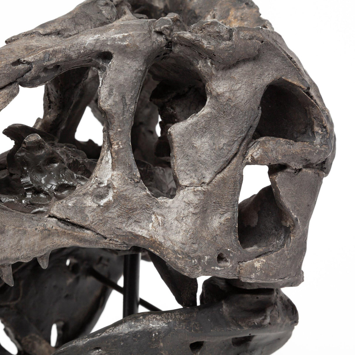 Mercana Jurassic 6L x 10W Brown Resin Tyrannosaurus Skull Replica