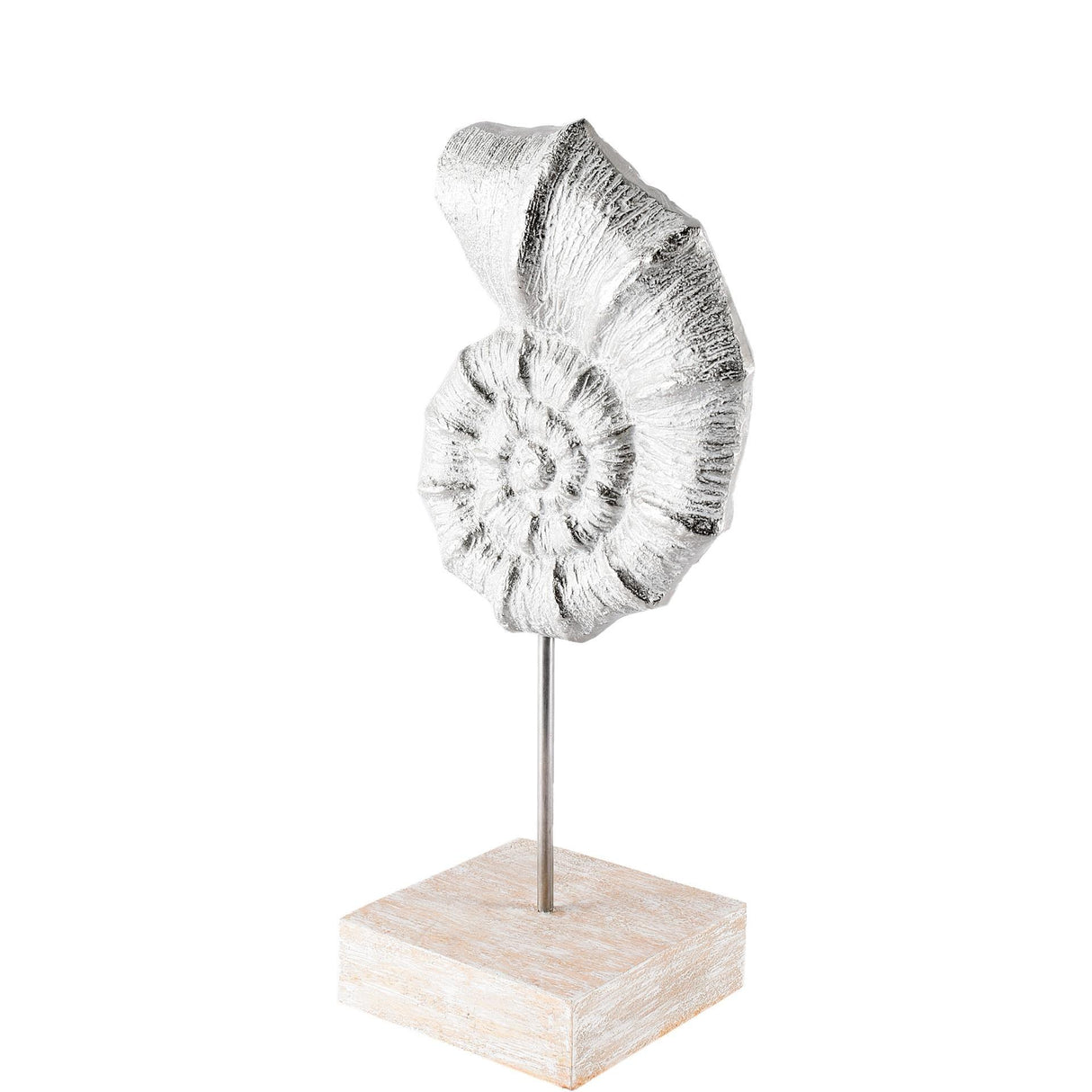 Mercana Cockle 5L x 4W White Coastal Iron Sea Shell