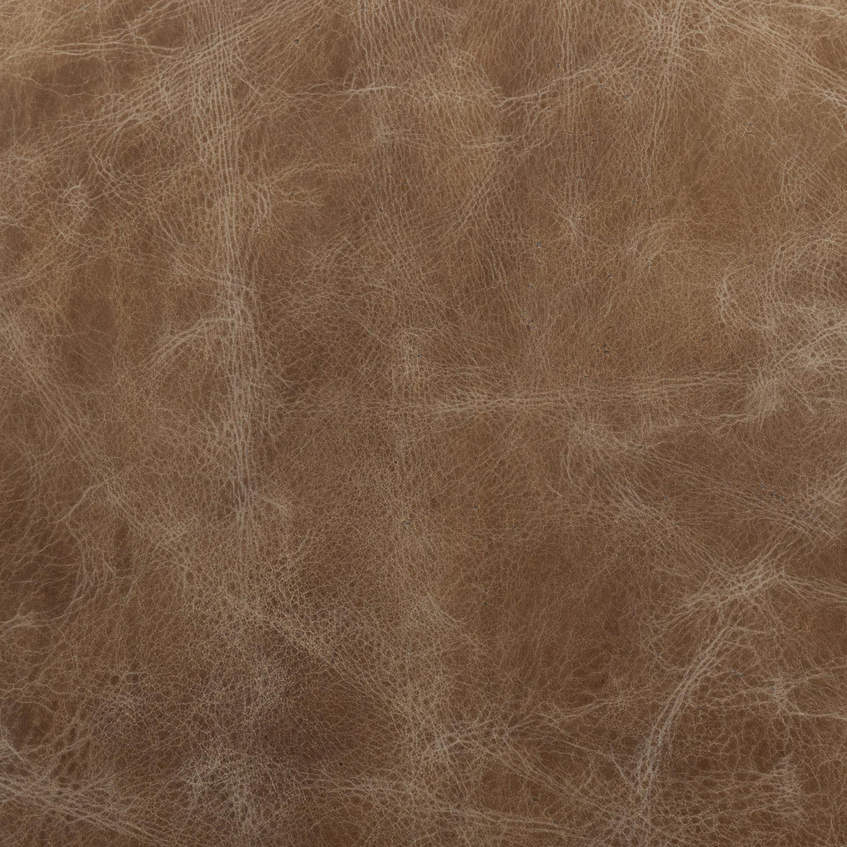 Mercana Cobain I 84" Brown Leather Two Seater Sofa