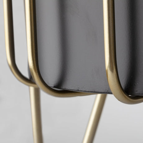 Mercana Pianta 13 x 21 Set of Two Black Metal Insert Brass Frame Plant Stands