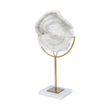 Mercana Sandy I (Small) 6L x 3W White Coastal Sand Dollar Object